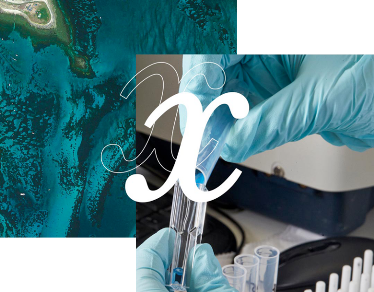 Olmix – Innovative Lösungen biologischen Ursprungs für eine ...